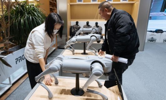 중국 징동몰 유니트리 매장에 전시된 4족 보행 로봇/사진=중국 인터넷