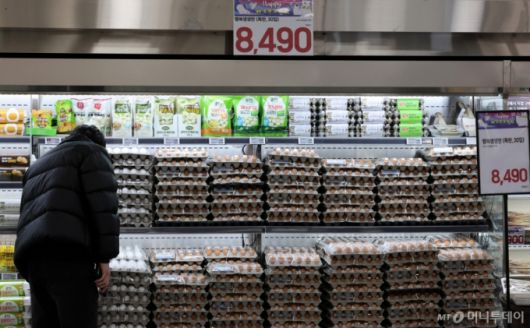 지난 7일 조류인플루엔자(AI) 확산 여파로 달걀 한판 기준 소매가가 7천원을 넘어선 상황에서 서울 시내의 한 대형마트에서 고객이 달걀을 살펴보는 모습./사진=뉴시스.