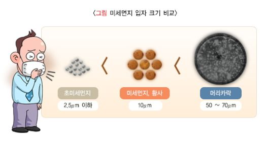 /자료=국가건강정보포털