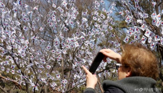 [서울=뉴시스] 추상철 기자 = 3.1절을 사흘 앞둔 26일 오후 서울 용산구 효창공원에 조성된 태극기 거리에서 시민이 나무에 매달린 태극기를 촬영하고 있다. 2025.02.26. scchoo@newsis.com /사진=추상철