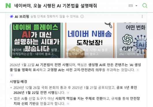 네이버의 AI 서비스 AI 브리핑에 '실험 단계로 정확하지 않을 수 있다'는 메시지가 적혀있다./사진=화면 캡처