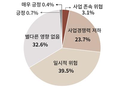 머니투데이