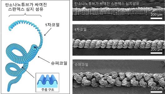 머니투데이