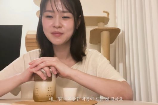 학교폭력 의혹을 벗은 배우 심은우가 근황을 알렸다./사진=유튜브 갈무리