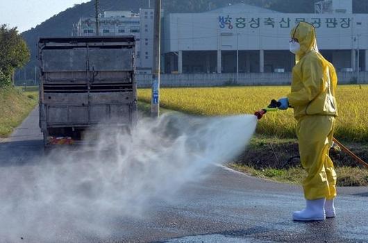 조선비즈