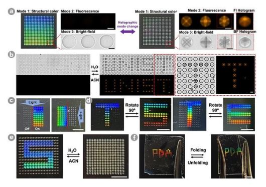 연구팀이 개발한 공액 고분자 입자로 글자를 만들고 색과 모양을 바꾸는 모습./UNIST 제공