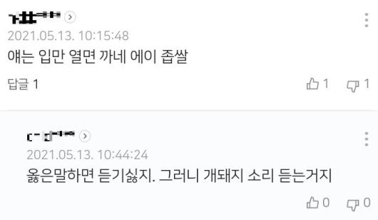 네이버 기사의 댓글 작성자 프로필 사진을 공개하는 13일에도 여전히 기사 댓글란에 악플이 달리고 있다. /네이버 캡처