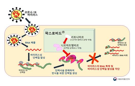 조선비즈