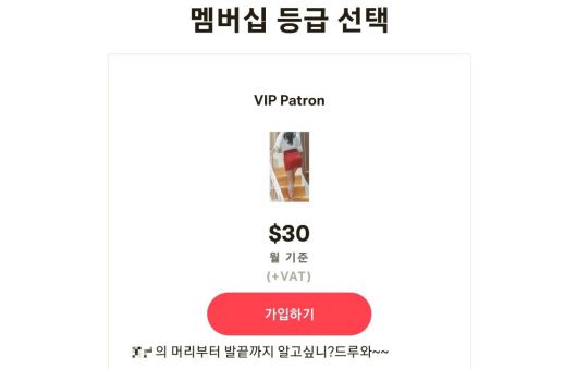 패트리온 접속 링크를 첨부한 한 유튜버의 유튜브 게시물(위)과 해당 링크로 접속한 패트리온 계정 메인 화면(아래). /앱 캡처