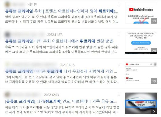 유튜브 프리미엄을 우회해서 튀르키예 계정으로 가입할 수 있는 방법을 안내하는 블로그 글 /네이버 검색화면 캡처