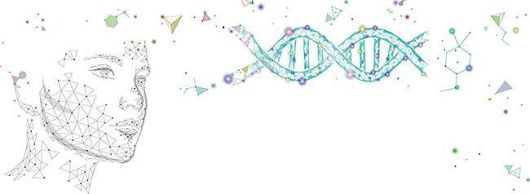노화 과정은 생체 내 DNA나 RNA 등의 거대 분자와도 관련이 있다. 현재 국내에서는 이를 타깃으로 한 노화 치료제 개발이 한창이다./이코노미조선