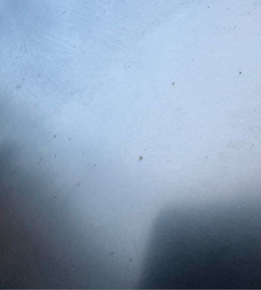 사이버트럭 차체 표면 위에 부식으로 보이는 갈색 점이 여러개 찍혀있다. /테슬라 소유주 커뮤니티 캡처