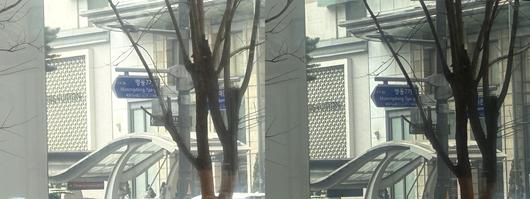 10배 줌 기능을 활용해 아이폰16e로 촬영한 사진(왼쪽)과 아이폰16으로 촬영한 사진. 두 사진의 화질 차이가 거의 없었다./김민국 기자