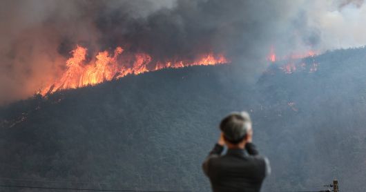 경북 의성군 대형 산불 발생 사흘째인 지난달 24일 의성군 점곡면 야산에서 산불이 강풍을 타고 번지고 있다. /연합뉴스