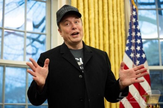 일론 머스크 테슬라 최고경영자(CEO). /뉴스1