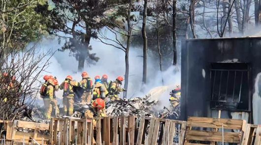 29일 오후 경북 포항시 남구 동해면 신정리 포항공항 인근 야산에 해군이 운용하는 해상초계기가 추락했다. /연합뉴스
