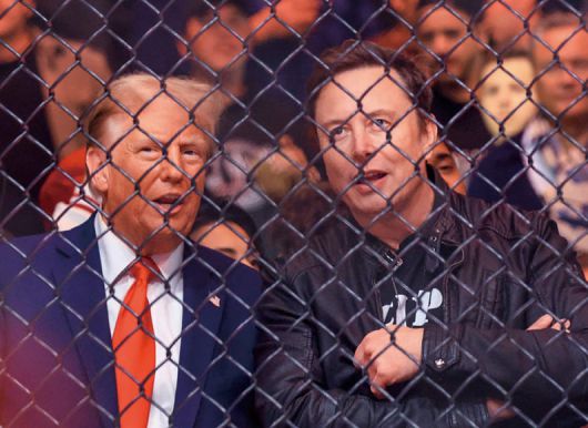 도널드 트럼프(왼쪽) 미국 대통령과 일론 머스크 테슬라 CEO. /AFP연합