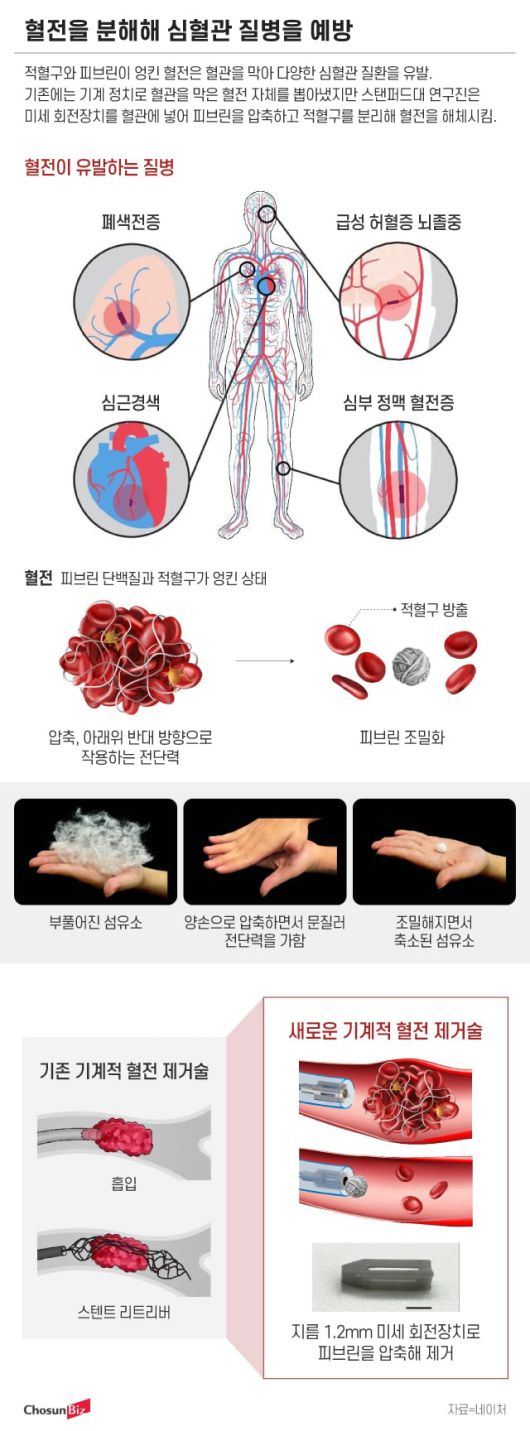 그래픽=정서희
