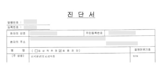 뇌혈관 관련 질환 진단서. /독자 제공