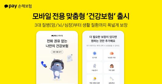 카카오페이손해보험.