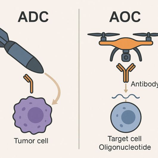 AOC는 항체(antibody)에 RNA 치료제(올리고뉴클레오타이드)를 붙여 목표하는 특정 세포에 들어가 유전자의 발현을 조절하는 기술이다. /일러스트=챗GPT