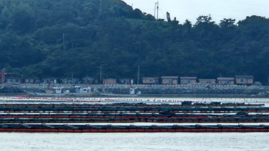 전남의 한 김 양식장. 건너편 섬 외곽에 단층 가건물이 줄지어 있다./박성우 기자