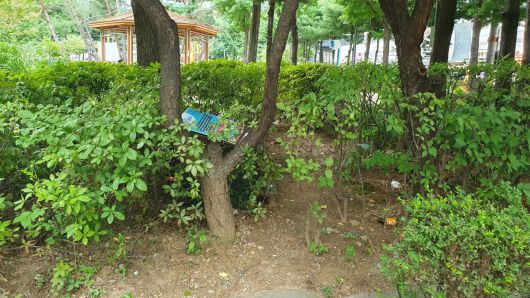 서울 강동구 성내1동의 길고양이 급식소. 수풀 속에 있어 유심히 보지 않으면 찾기 힘들다/유병훈 기자