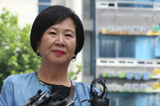 손혜원 전 의원 /조선DB