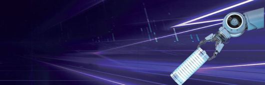 /사진 셔터스톡