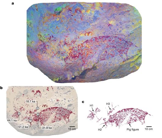 인도네시아 술라웨시섬의 마로스 팡켑 지역에서 발견된 레앙 카람푸앙(Leang Karampuan) 동굴 벽화(a). 새로운 연대 측정법으로 5만1200년 전에 그렸다고 확인됐다(b). 그림을 보면 H로 표시된 사냥꾼 3명이 멧돼지 한 마리와 대치하는 모습임을 알 수 있다./Nature