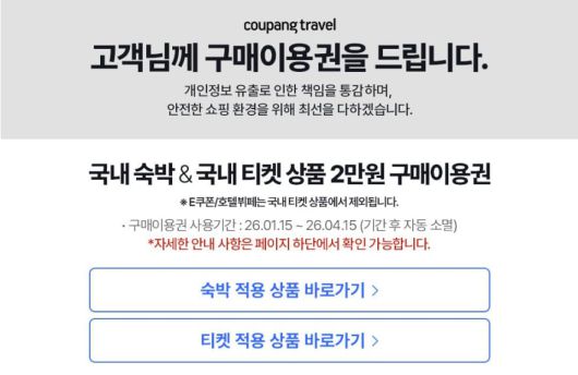 쿠팡트래블 구매이용권 안내문. 작은 글씨로 'E쿠폰/호텔뷔페는 국내 티켓 상품에서 제외됩니다'라고 적혀있다. /쿠팡트래블 캡처