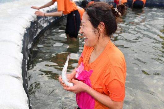 화천산천어축제. /화천군 제공