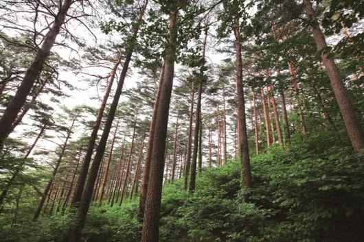 서울경제