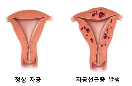 서울경제