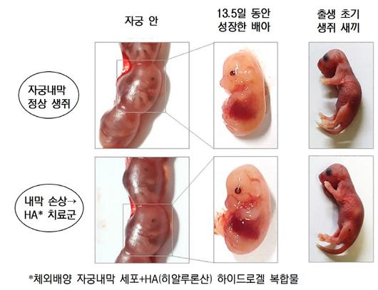 서울경제