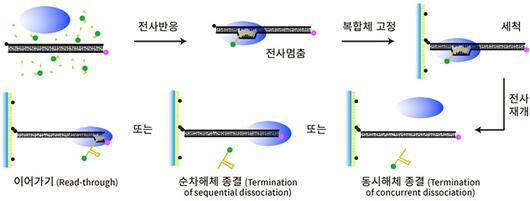 서울경제