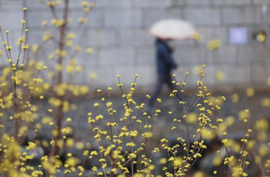 서울경제