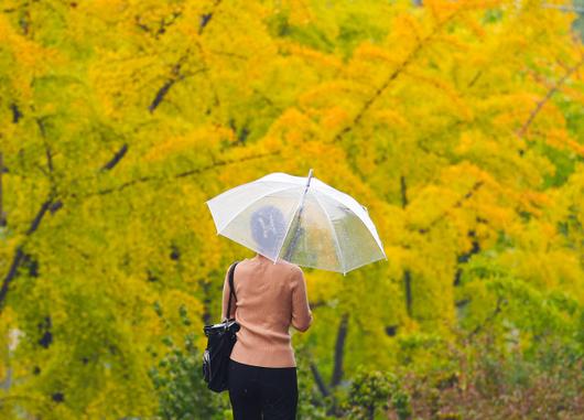 서울경제