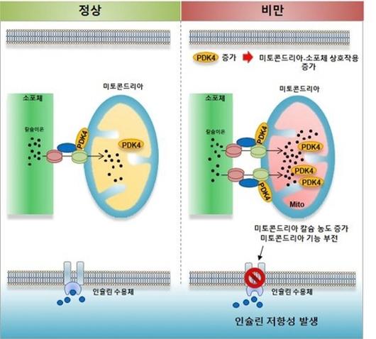 쿠키뉴스