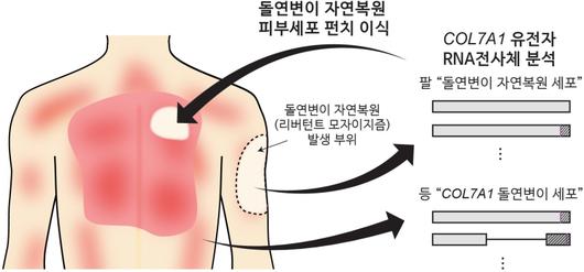 쿠키뉴스