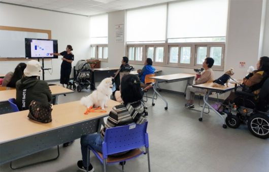 대구한의대 반려동물보건학과 학생들이 반려동물 양육 취약계층을 대상으로 ‘댕쪽이 상담소’ 프로그램을 운영했다. 대구한의대 제공