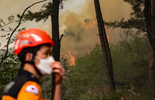 28일 오후 2시 1분께 대구 북구 노곡동 함지산에서 산불이 발생한 가운데 인근 민가로 번지고 있다. 연합뉴스