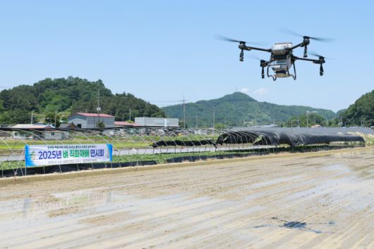 4일 금산군에서 드론으로 벼 직파 기술을 선보이고 있다. 금산군