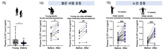 노화에 따라 감소하는 혈중 CLCF1 농도와 운동 상관관계. (가)젊은 사람과 노인의 혈액에서 CLCF1 단백질 농도를 비교한 결과, 노인에서 CLCF1 농도가 유의하게 낮게 나타났다. (나)젊은 성인이 1회성 저항성 운동 (resistance exercise) 및 고강도 인터벌 운동（high-intensity interval exercise)에서 CLCF1 레벨이 유의미하게 증가한다. (다)노인의 경우, 12주 또는 16주간의 지속적인 장기 운동 프로그램 후 혈중 CLCF1 농도가 유의하게 증가한다. 한국생명공학연구원