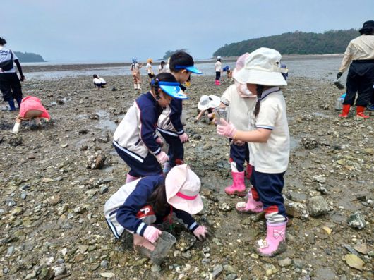 갯벌에서 직접 바다 생물을 관찰하며 바지락과 맛조개, 칠게 등을 잡아볼 수 있고, 가두리에 장어, 숭어 등 활어를 풀어 잡아보는 맨손고기체험 등 가족 단위 체험 프로그램을 즐길 수 있다. /전남도