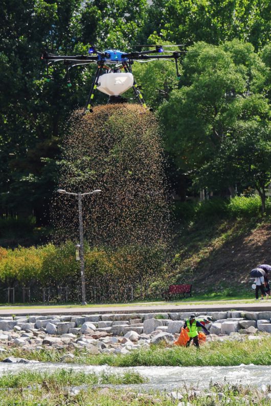 북구청이 대구 최초로 모기유충 구제 드론방역을 한다. 북구청 제공