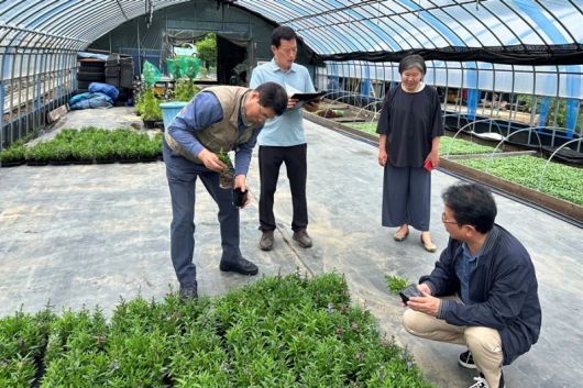 지역상생 계약재배 사업 대상 농가에 재배기술을 지도하는 모습. 한국수목원정원관리원