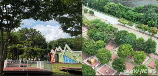 강원 정선 펫캠핑장은 반려동물과 자연 속 힐링 캠핑으로 안성맞춤이다. 윤수용 기자