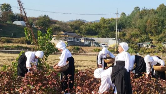 ‘화순 내평리 길쌈노래’는 길쌈 과정에서 불리던 민요로, 오랜 기간 학술 자료로 축적된 역사성과 지역적 특색을 간직하고 있다. /전남도