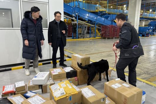 12일 서울 광진구 동서울우편집중국에서 마약탐지견의 국제우편물 검사현장을 살펴보는 김정 관세청 조사국장(가운데). 관세청